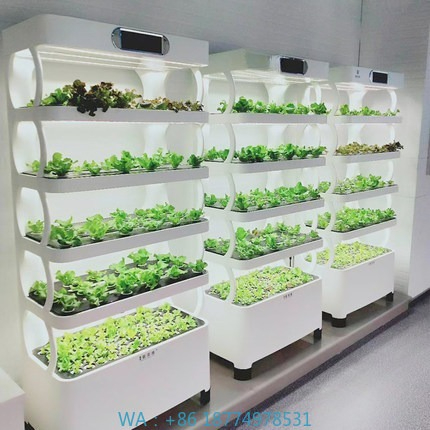 Hidroponik Otomatik Yetiştirme - Home Automation Systems Diy incelemesi ve fiyatı